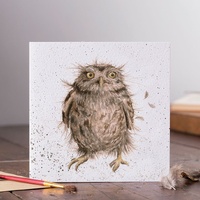 Wrendale Designs Greeting Card - What a Hoot!