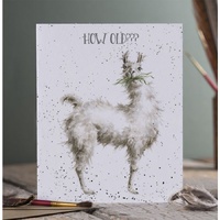 Wrendale Designs Greeting Card - How Old?