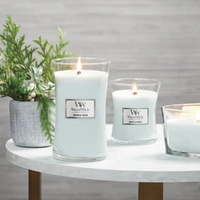 Woodwick Medium Candle - Magnolia Birch