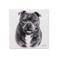 Ashdene Delightful Dogs - Staffy Terrier Ceramic Coaster