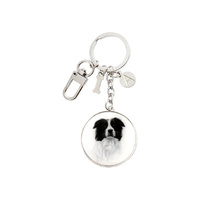 Ashdene Delightful Dogs - Border Collie Keyring