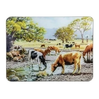 Ashdene Grazing Paddocks - By The Creek Surface Protector