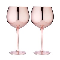 Tempa Aurora - Rose Gin Glass 2 Pack