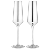 Tempa Aurora - Silver Champagne Glass 2 Pack