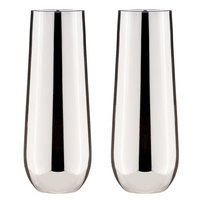 Tempa Aurora - Silver Stemless Champagne Glass 2 Pack