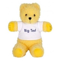 Play School Beanie - Big Ted 18cm