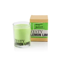 Scents of Nature by Tilley Zesty Lemon Lime Soy Candle