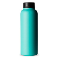 T2 Stainless Steel Flask - Aqua