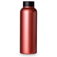 T2 Stainless Steel Flask - Metallic Rose Gold