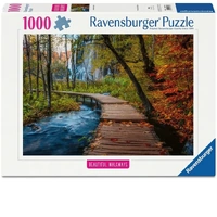 Ravensburger Puzzle 1000pc - Autumnal Forest Path