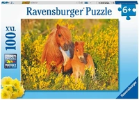Ravensburger Puzzle 100pc XXL - Shetland Ponies