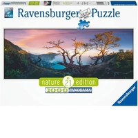 Ravensburger Puzzle 1000pc - Acid Lake at Mount Ijen Java