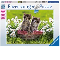 Ravensburger Puzzle 1000pc - Picnic In The Meadow