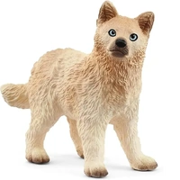 Schleich Wild Life - Arctic Wolf Cub