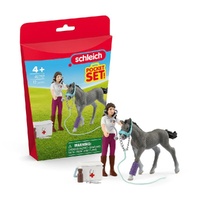 Schleich Horse Club - Horse Care Playset with Trakehner Foal