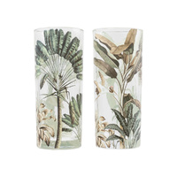 Exotic Highball Glasses Set Of 2