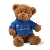 Gund Bears - Big Brother