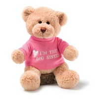 Gund Message Bear - Im The Big Sister