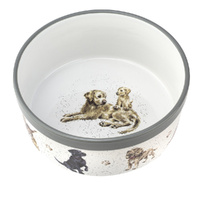 Royal Worcester Wrendale Pet Bowl