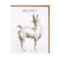 Wrendale Designs Greeting Card - How Old?