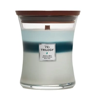 Woodwick Medium Trilogy Candle - Icy Woodland