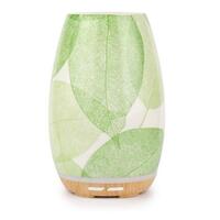 Aroma Fern Diffuser By Lively Living - Green Leaf