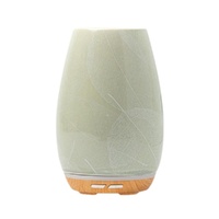 Aroma Fern Diffuser By Lively Living - Taupe Leaf